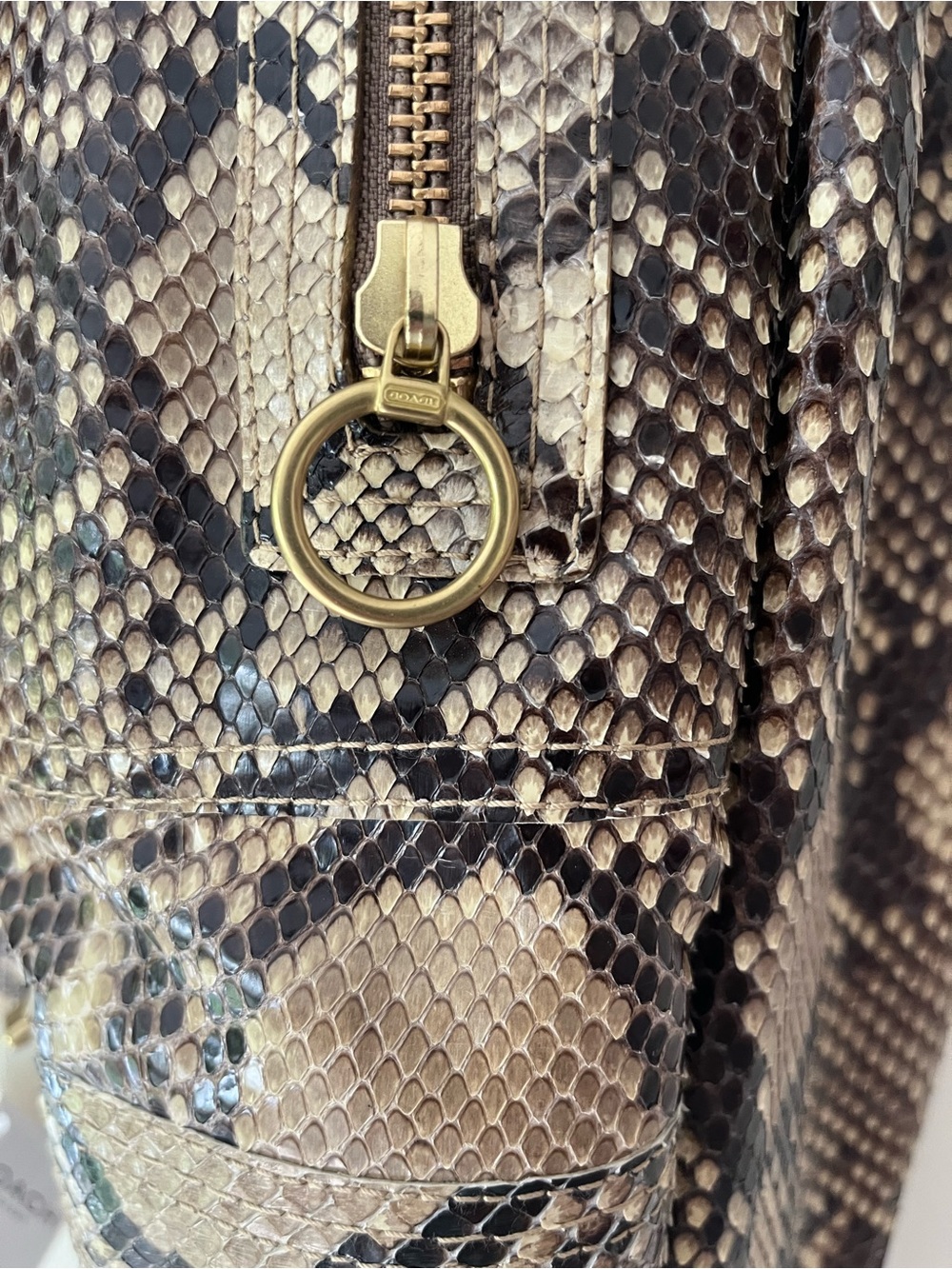 Genuine Python Coach jacket - Picture 9 of 16